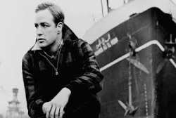 It has been a major attraction for people around t It has been a major attraction for people around the world, with names like Marlon Brando and The Crown Prince of Spain, Juan Carlos among its noted b